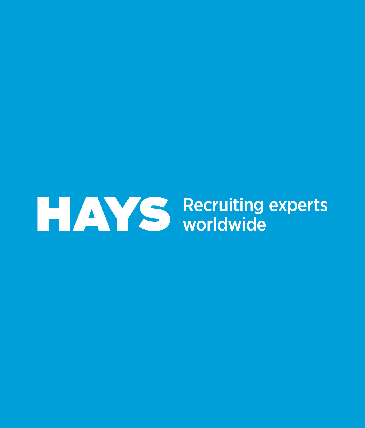 HAYS-recruitment_Brand-Partner_MAS-Branding-Agency_CAR_6